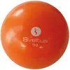Sveltus Balle Lestée 2 kg
