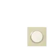 LEGRAND Plaque 1P dune Dooxie