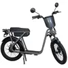 Draisienne électrique Wispeed 36V14Ah 350 W Gris