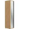 Gami Dressing 1 porte (miroir) l50 1H3F050