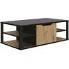 GAMI Table basse style industriel avec coffre central et étagères NEWTON  