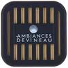 SANS Diffuseur Voiture Devineau Vanille