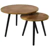 THE HOME DECO FACTORY Lot de 2 tables gigognes felix