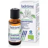 Ladrôme Huile Essentielle Ravintsara Bio