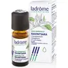 Pit&Pit Ladrôme Huile Essentielle Biologique Ravintsara 10 ml