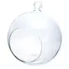 GRAINES CREATIVES Graine Créative Boule Verre Ouverte 8 cm