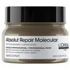 Masque Concentré Absolut Repair Molecular L'Oréal Professionnel 250ML