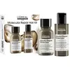L Oréal Professionnel Serie Expert Absolut Repair Molecular coffret ca...