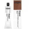 Coloration Majirel Blond Doré Cendré 7.31 L'Oréal Professionnel 60ml