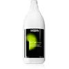 Shampooing INOA Post L'Oreal Professionnel Paris Inoa Post-Color (1500 ml) 