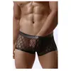 Paris Hollywood Boxer MP056  M