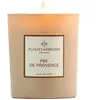 Plantes & Parfums - Pin de Provence Bougies 180 g unisex