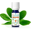Puressentiel Puressentiel Huile Essentielle Bio Ravintsara 30ml