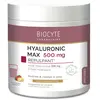 Biocyte Smoothie Hyaluronic Max 20 X14g