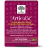 New Nordic Articular 60 Comprimés