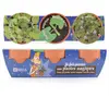 RADIS ET CAPUCINE Trio Plantes Magiques