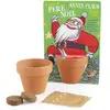 Radis et Capucine Kit Père Noël et son épicéa à semer