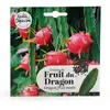 Fruit du Dragon à semer | Vilmorin Jardin