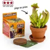 Kit de plantation plante carnivore - Cadeau Maestro
