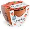 Mini kit 6 cm - Fraise