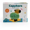 Capybara terre cuite poreuse avec graines de chia