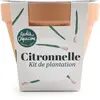 RADIS ET C Pot Terre cuite Antique - Citronnelle