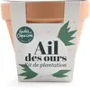 Radis Et Capucine - Pot en terre cuite antique - Ail des ours