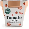 RADIS ET CAPUCINE Pot en terre cuite antique - Tomate cerise bio