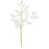 FEERIC LIGHTS & CHRISTMAS Branche décorative spéciale fêtes Ficus Blanc H 75 cm
