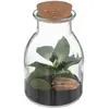 ATMOSPHERA Terrarium en Verre avec plante artificelle et déco D. 12 x H. 19,5 cm