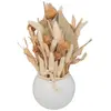 ATMOSPHERA Composition de Fleurs Séchées Vase en Céramique D. 10 x H. 25 cm