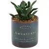 ATMOSPHERA Créateur d'intérieur - Plante Artificielle en Pot Déco Bota 14cm Noir