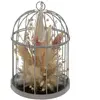 Atmosphera Créateur d'intérieur - Fleurs Séchées Déco Cage 20cm Gris