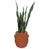 Plante en pot H. 70 cm ATMOSPHERA Cannelle