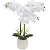 ATMOSPHERA Plante artificielle Orchidée Blanche pot en céramique striée H 65 cm