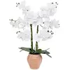ATMOSPHERA Créateur d'intérieur - Orchidée Artificielle en Pot Dena 65cm Blanc
