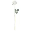 FÉÉRIC LIGHTS AND CHRISTMAS Bch rose blanc enneigee H62 - Atmosphera créateur d'intérieur