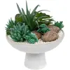 ATMOSPHERA 3S. x Home Composition plantes grasses artificielles - blanc
