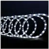 Guirlande lumineuse extérieur Tube LED 8 Fonctions 6 m Blanc