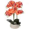 ATMOSPHERA Orchidée artificielle en pot sanae pot en ciment orange h65cm SANAE
