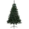 Sapin windy peak givre 180cm