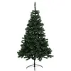 Sapin windy peak givre 210cm