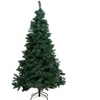Sapin windy peak 300cm