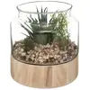 ATMOSPHERA Créateur d'intérieur - Terrarium en Verre & Bois Brito 17cm Transparent