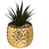 Atmosphera Créateur D'intérieur - Plante artificielle Ananas H21cm