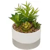 ATMOSPHERA Créateur d'intérieur - Plante Artificielle en Pot Céramique 21cm Vert