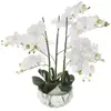 Atmosphera ORCHIDÉE POT CIMENT MARBRE H65 Blanc