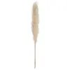 3 fleurs séchées Pampa naturelle H110cm - Atmosphera créateur d'intérieur