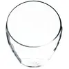 Atmosphera Créateur D'intérieur - Coupe boule sur pied verre H22cm