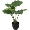 Atmosphera Créateur D'intérieur - Palmier artificiel pot ciment H65cm